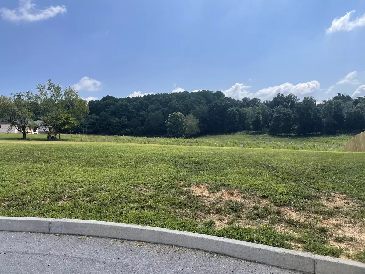 Jonesborough, TN 37659,Lot 20 Rhett Way WAY