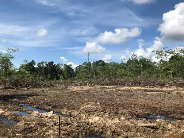 Bybee, TN 37713,00 Briar Thicket RD