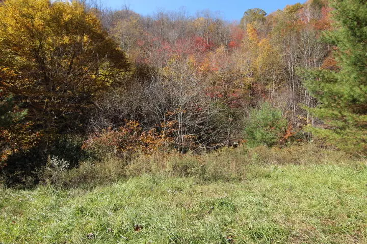 Lot 59 Laurel Way, Mountain City, TN 37683