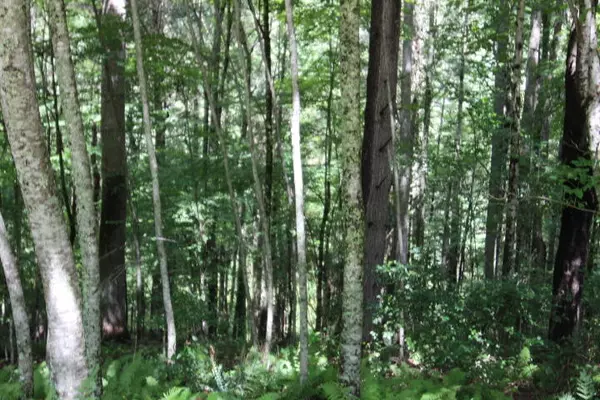 Mountain City, TN 37683,000 Laurelwood Drive, Lot #34