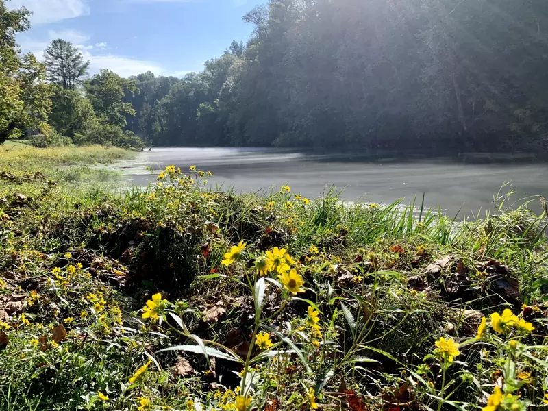 1549 Riverside RD, Bluff City, TN 37618