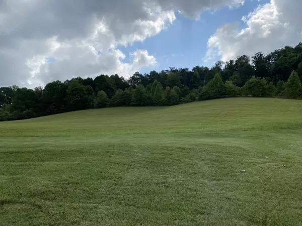 Fall Branch, TN 37656,Tbd Fordtown Rd