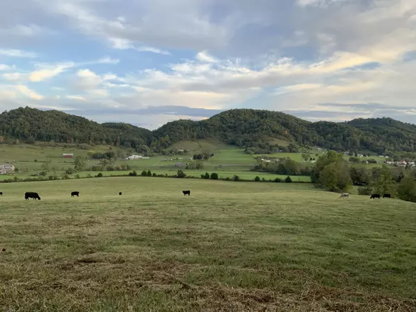 Surgoinsville, TN 37873,0 Stanley Valley RD