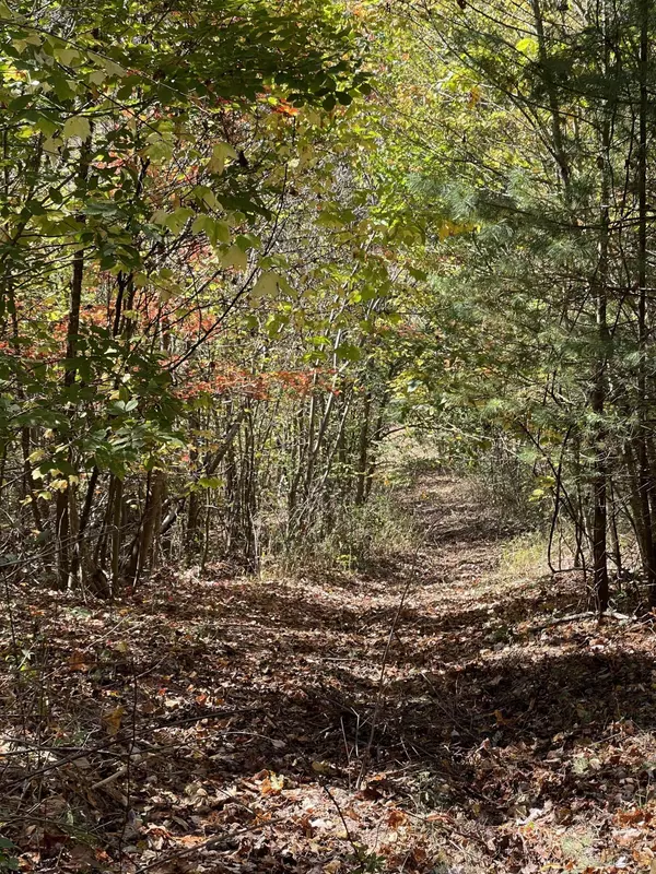 Laurel Bloomery, TN 37680,Tbd Greer Branch RD