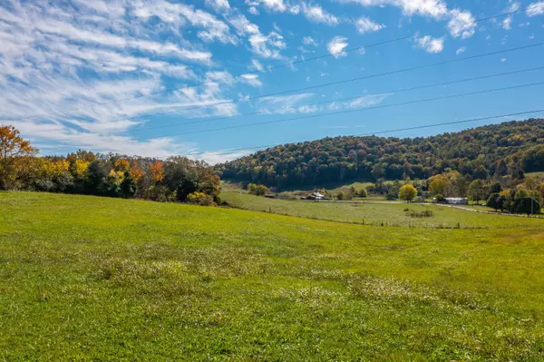 Afton, TN 37616,40.2ac Doty Chapel RD