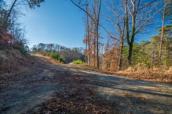 Piney Flats, TN 37686,3100 Rocky Springs RD