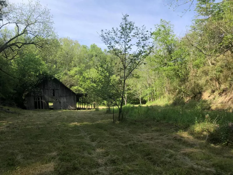 2810 Knob Creek Rd RD, Bybee, TN 37713