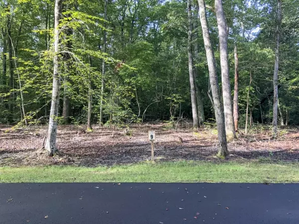 Dandridge, TN 37725,Lot 9 Peaceful PT