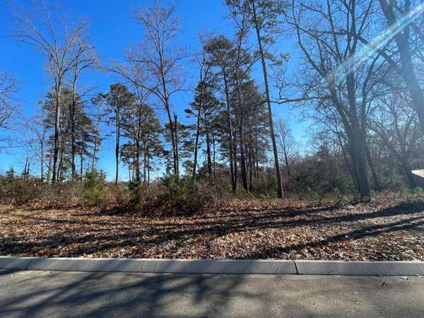 Lot 96 Shiloh, Rutledge, TN 37861