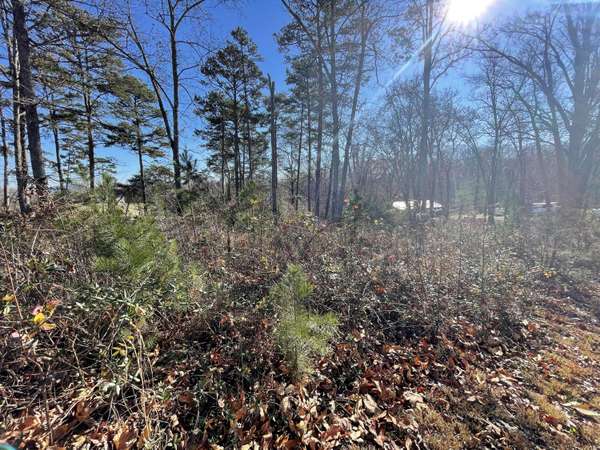 Rutledge, TN 37861,Lot 96 Shiloh