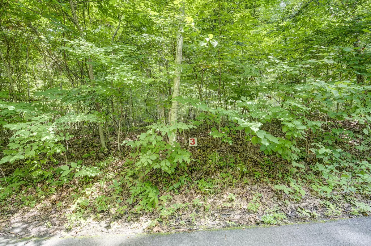 Roan Mountain, TN 37687,119 Winters Hollow Private DR