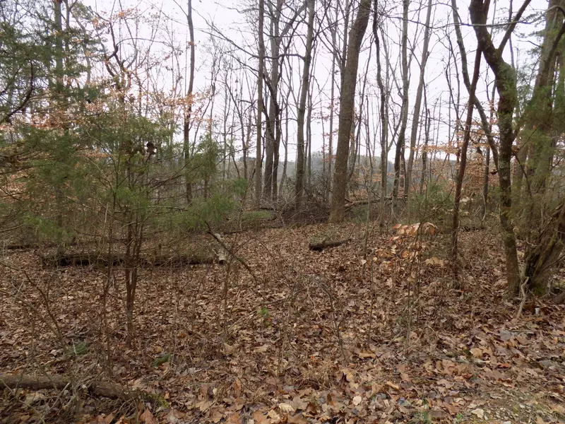 Lot 1 Morrisetts Chapel Rd, Whitesburg, TN 37891