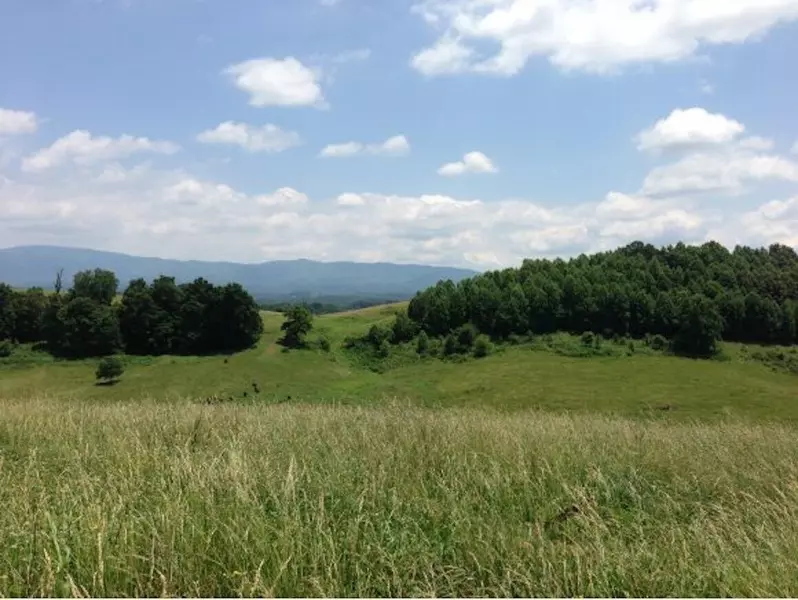 Tbd Lot 7 Thomas LN, Bluff City, TN 37618