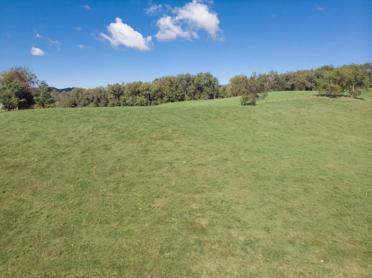 Glade Spring, VA 24340,Tbd Plum Creek RD