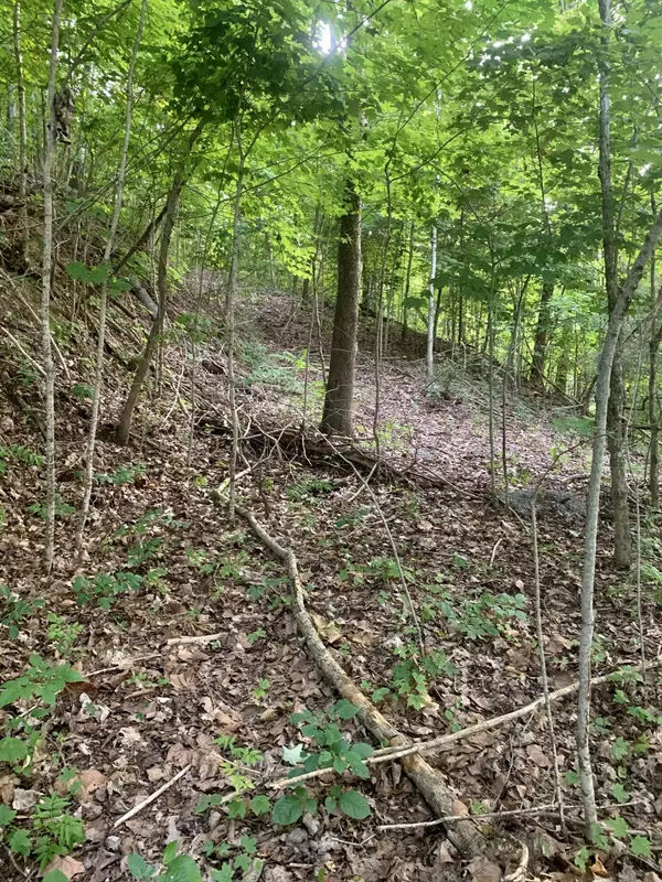 Newport, TN 37821,Tbd Pintaure WAY