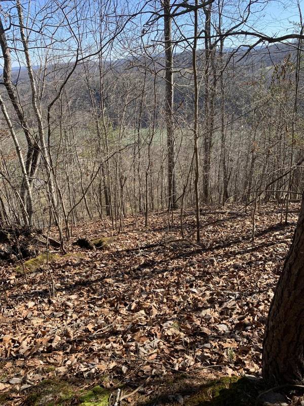 New Tazewell, TN 37825,Lot 83 Ridgecrest RD