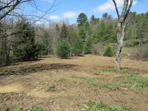 Roan Mountain, TN 37687,00 Buck Mountain RD