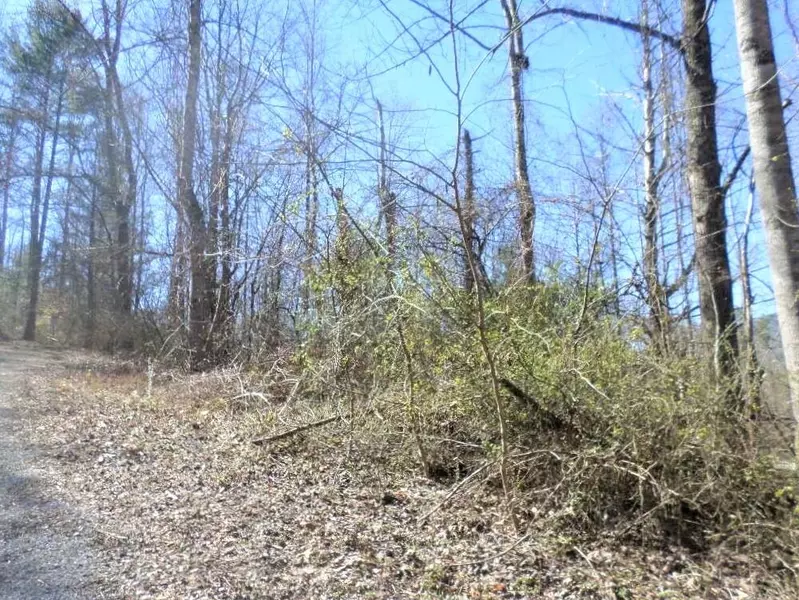 Tbd Hampton View Dr And 4th AVE, Hampton, TN 37658