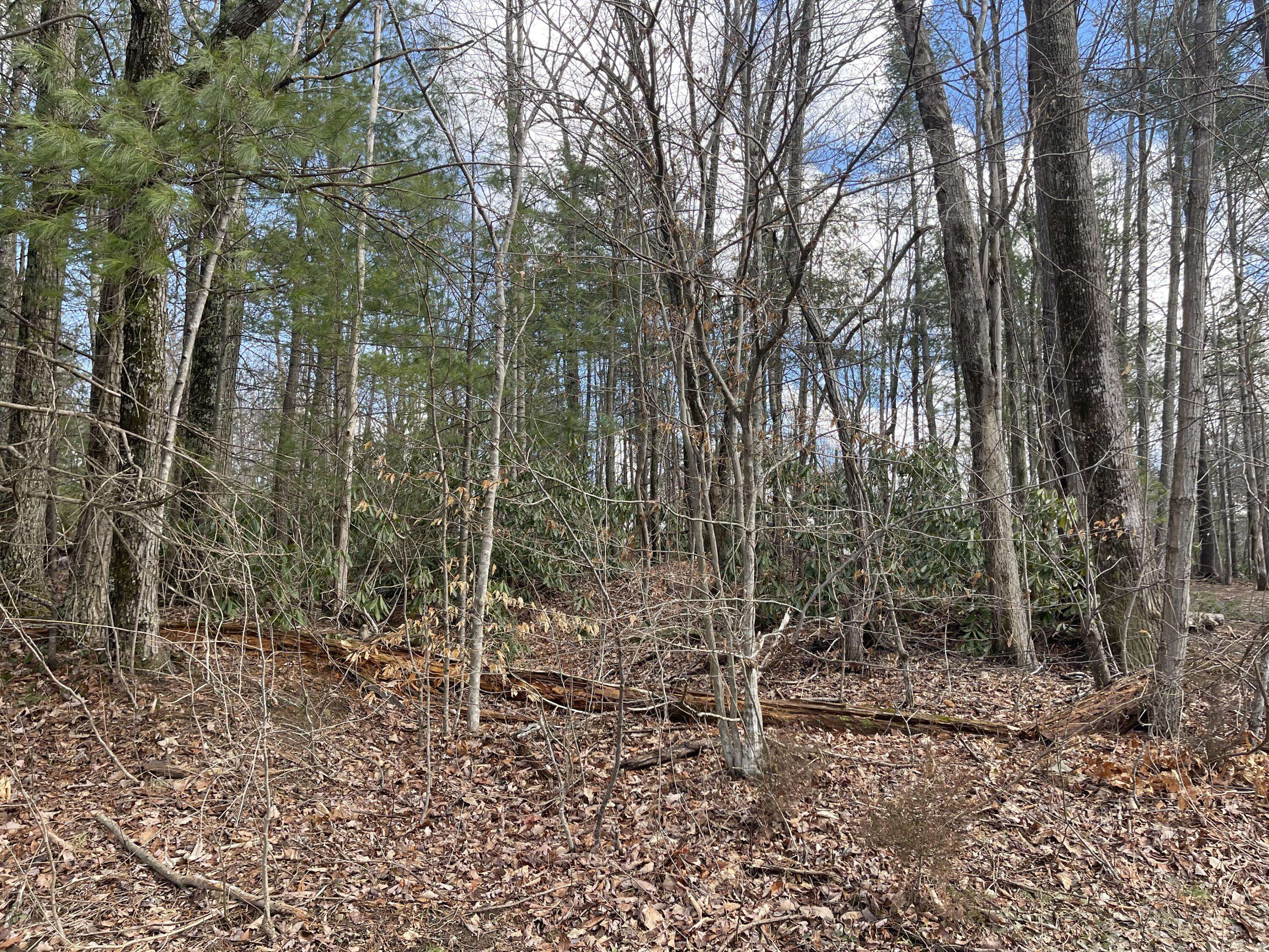 Greeneville, TN 37743,.56 Ac Greystone RD