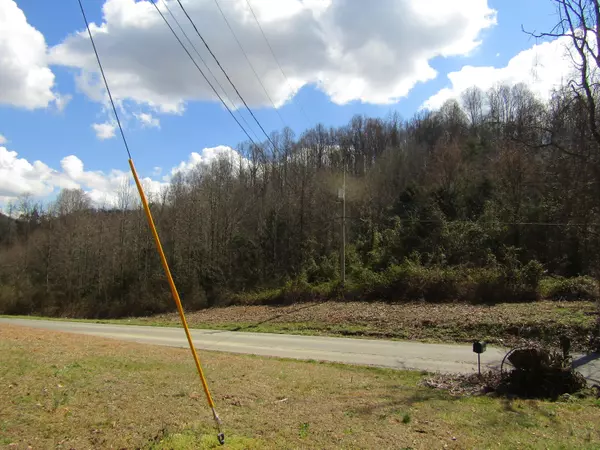 Afton, TN 37616,Lot # 9 Davis Valley RD