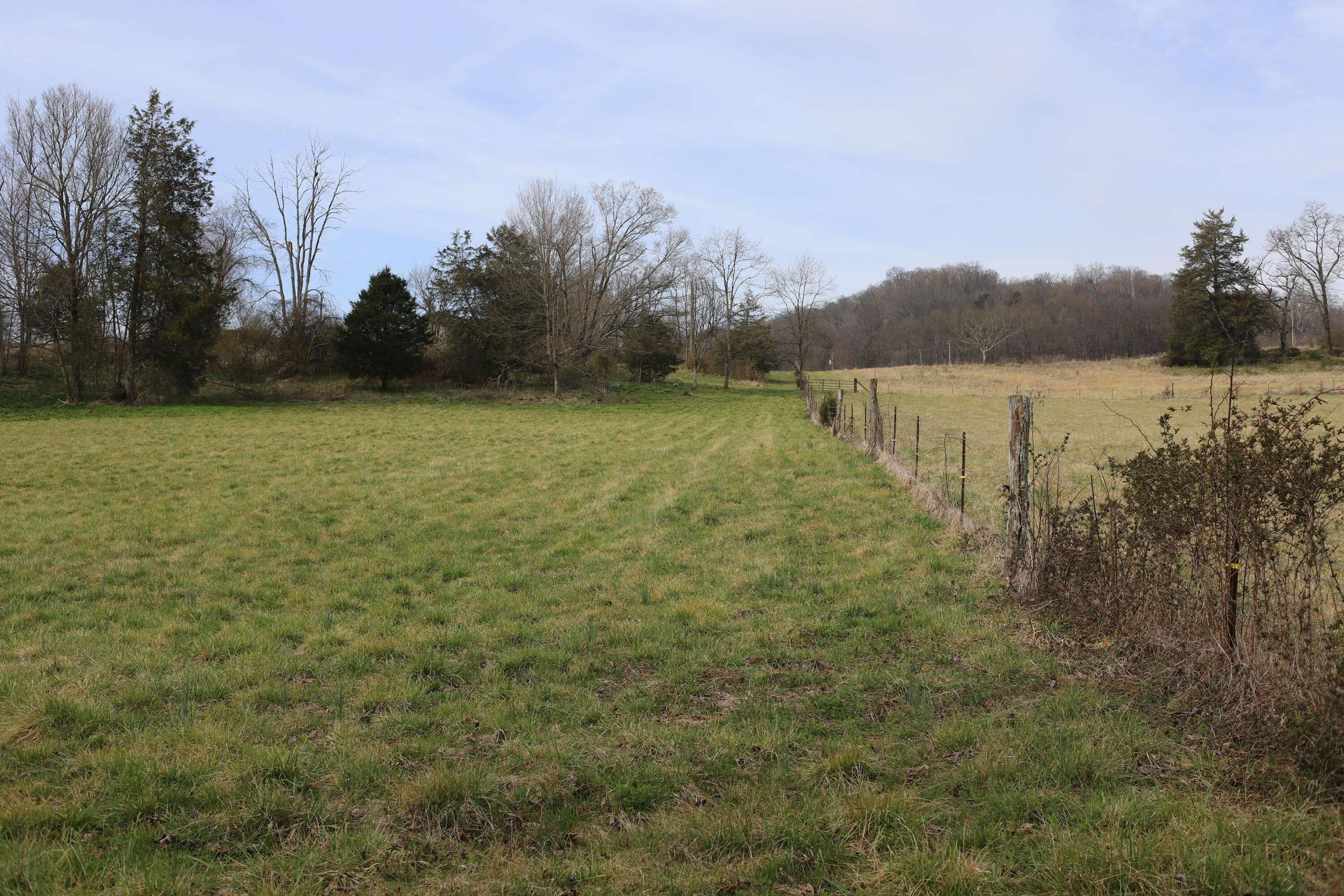 Rogersville, TN 37857,166 Meadow View RD