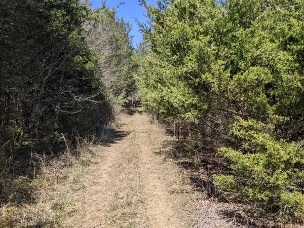Midway, TN 37809,Tbd Bewley Chapel RD