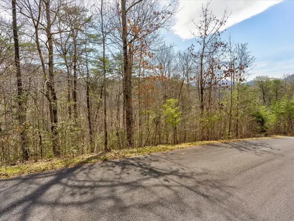 Del Rio, TN 37727,Lots 78-79 Bear Track WAY