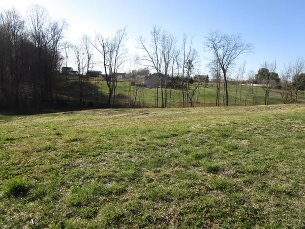 Tbd Rosecliff DR, Fall Branch, TN 37656