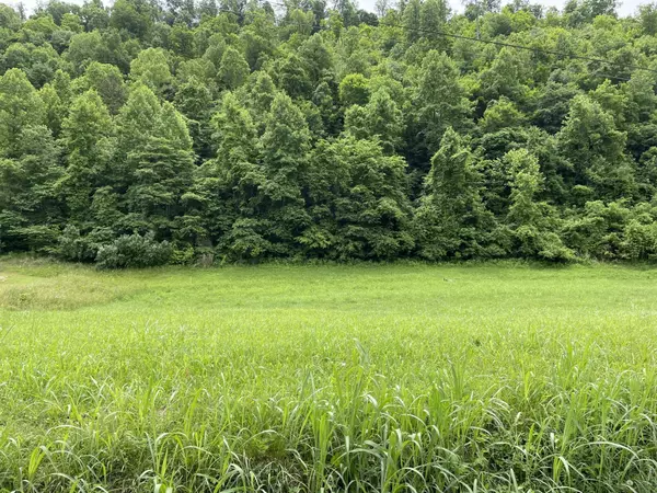 Duffield, VA 24244,Lot 7 Waters Edge
