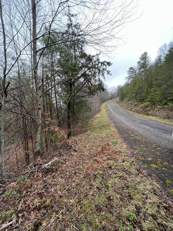 Mountain City, TN 37683,Tbd Locust Gap RD