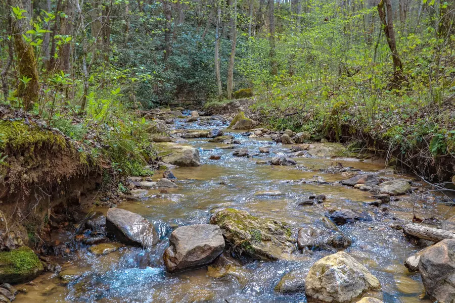 19.75 Ac Yellow Springs RD, Cosby, TN 37722