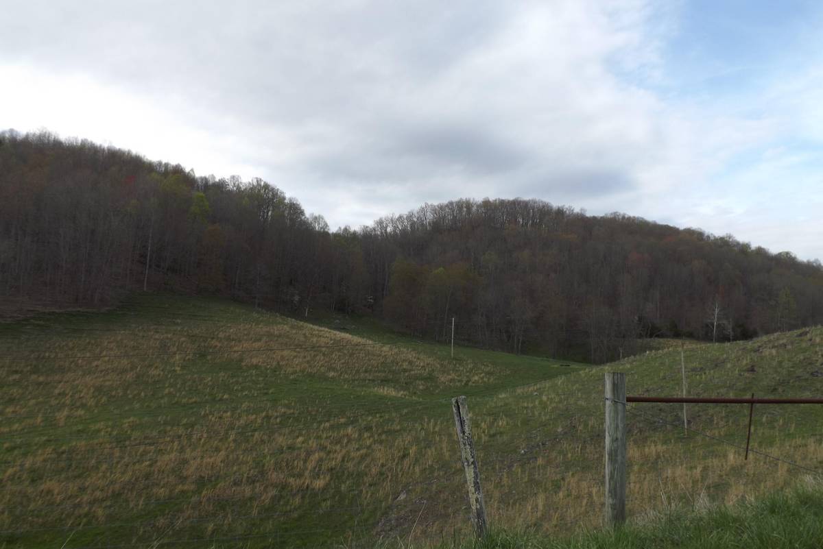 Castlewood, VA 24224,0 Buffalo Hollow