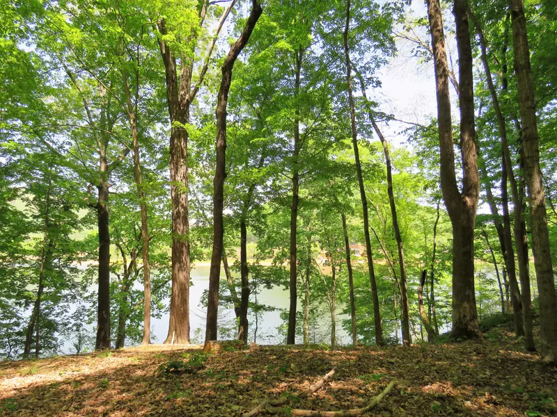 Lot 36 Five Oaks Cir, Whitesburg, TN 37891