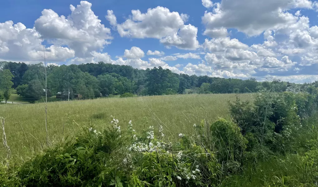 Tbd Skipper Ridge RD, Limestone, TN 37681