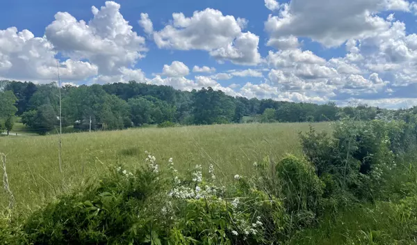 Tbd Skipper Ridge RD, Limestone, TN 37681