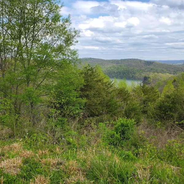 New Tazewell, TN 37825,Lot 714 Whistle Valley RD