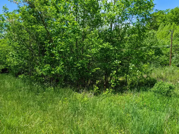 Clintwood, VA 24228,Tbd Fox Town RD