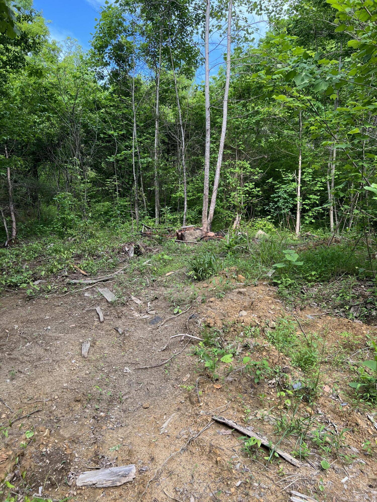Rogersville, TN 37857,181 Rocky Hollow RD