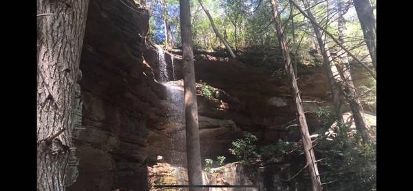 Tbd Bear Hollow TRL,  Oneida,  TN 37841