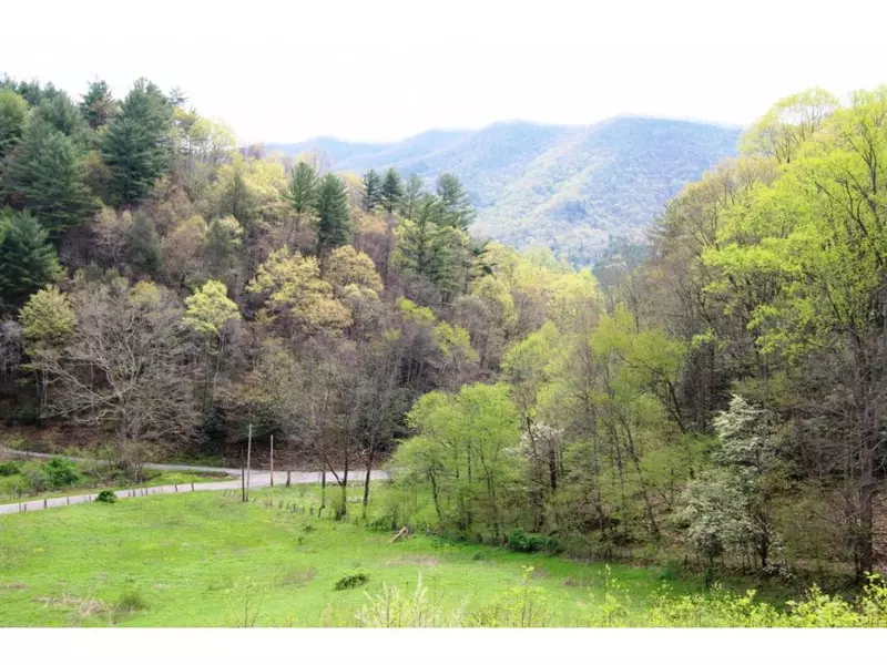 0000 Pine ORCH, Butler, TN 37640