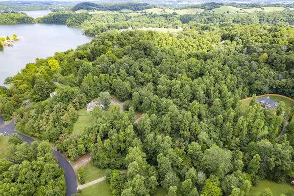 Piney Flats, TN 37686,Tbd Allison Cove TRL