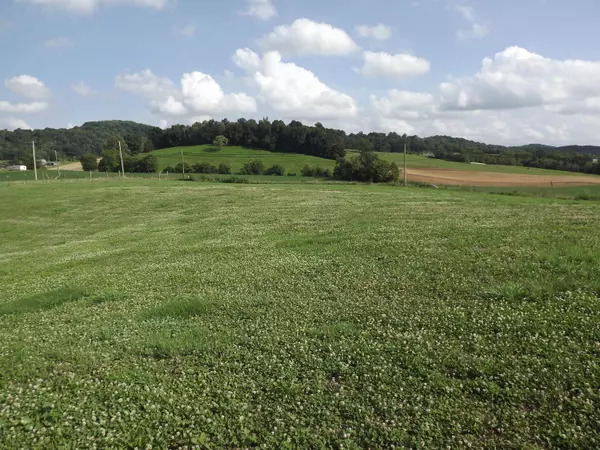 Jonesborough, TN 37659,Lot 11 Pleasant Valley RD