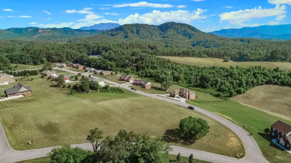 Sevierville, TN 37862,Lot 132 Laurel Falls LN