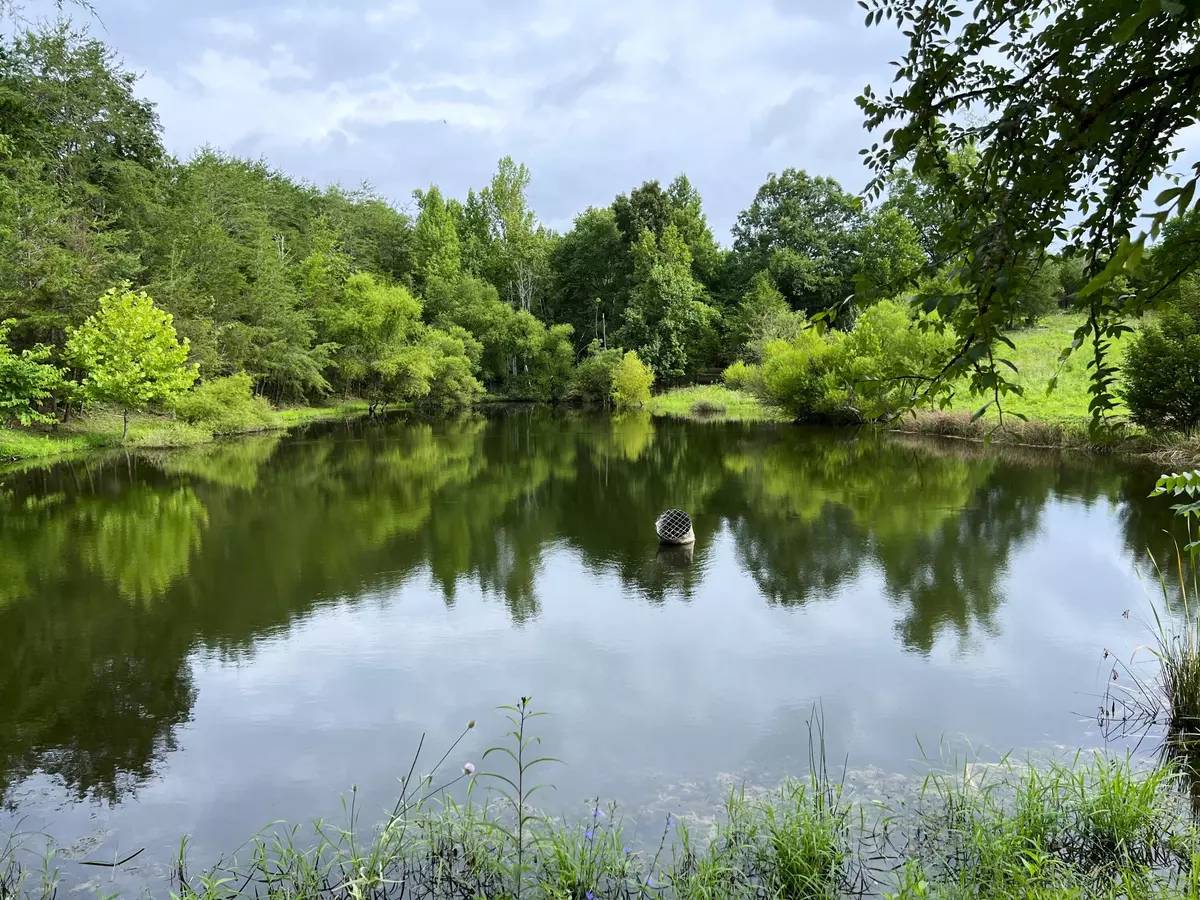 Bybee, TN 37713,790 Lonesome Pine RD