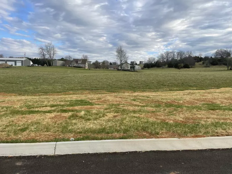 Lot 4 Cattleman'S TRL, Jonesborough, TN 37659