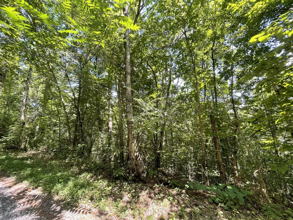 Newport, TN 37821,Lot 15 Michael WAY