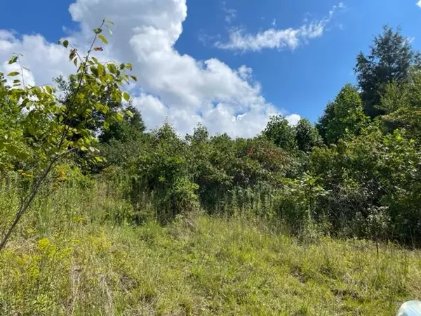 Roan Mountain, TN 37687,Tbd Moonlight DR