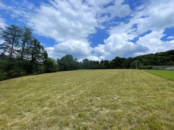 Cosby, TN 37722,Lot 35 Schisandra LN