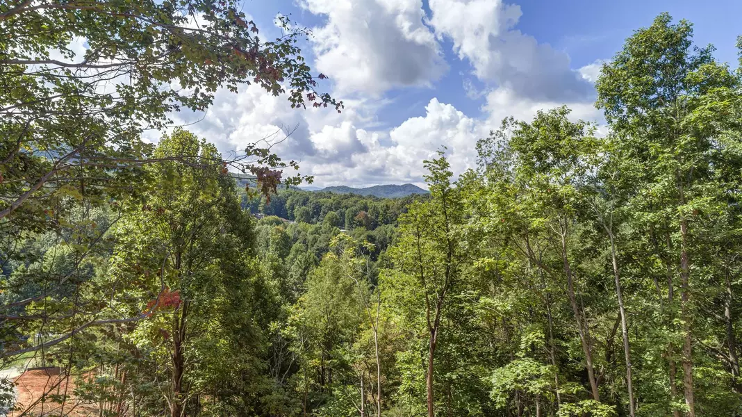 0 Powder Branch RD #Lot 2, Johnson City, TN 37601