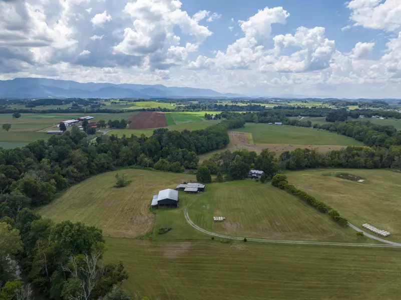 300 Crockett Timbers, Limestone, TN 37681